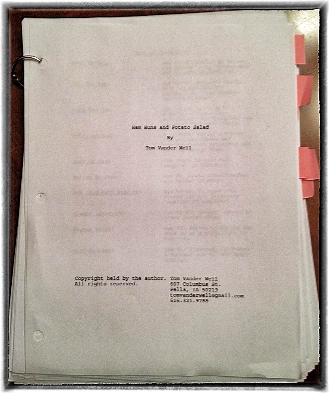 “Ham Buns and Potato Salad”: Shipped