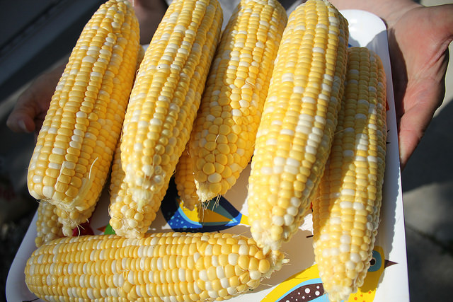 Sweet Corn: An Iowa Feast
