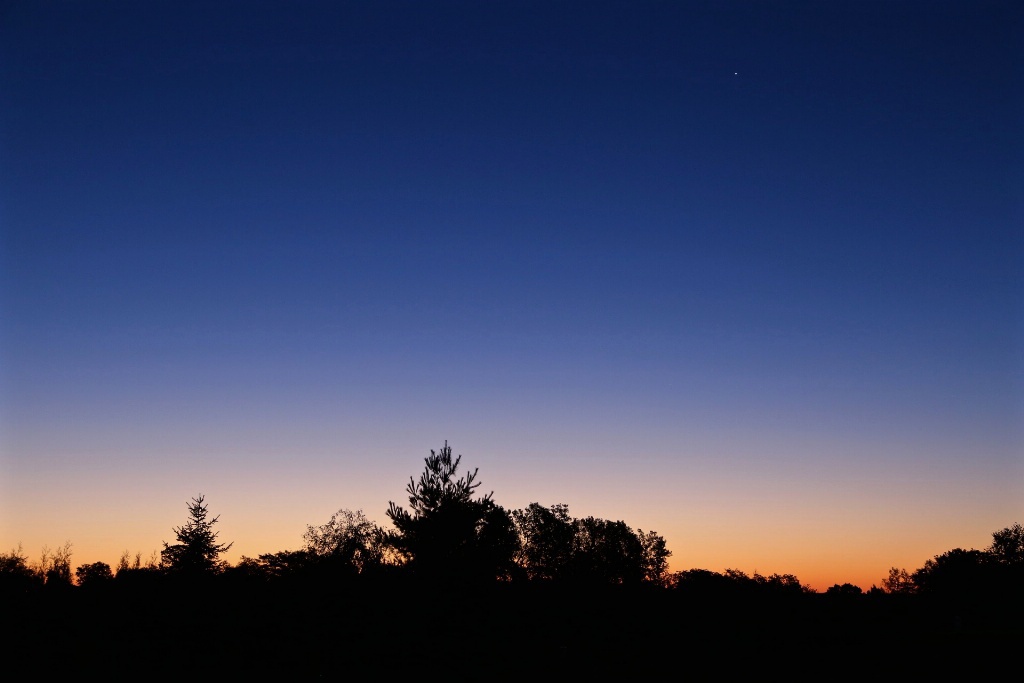 Morning Star