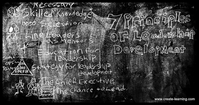 The Challenge of Leadership Change