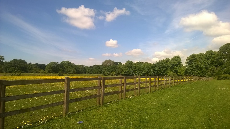 “Give Me Land, Lots of Land…”