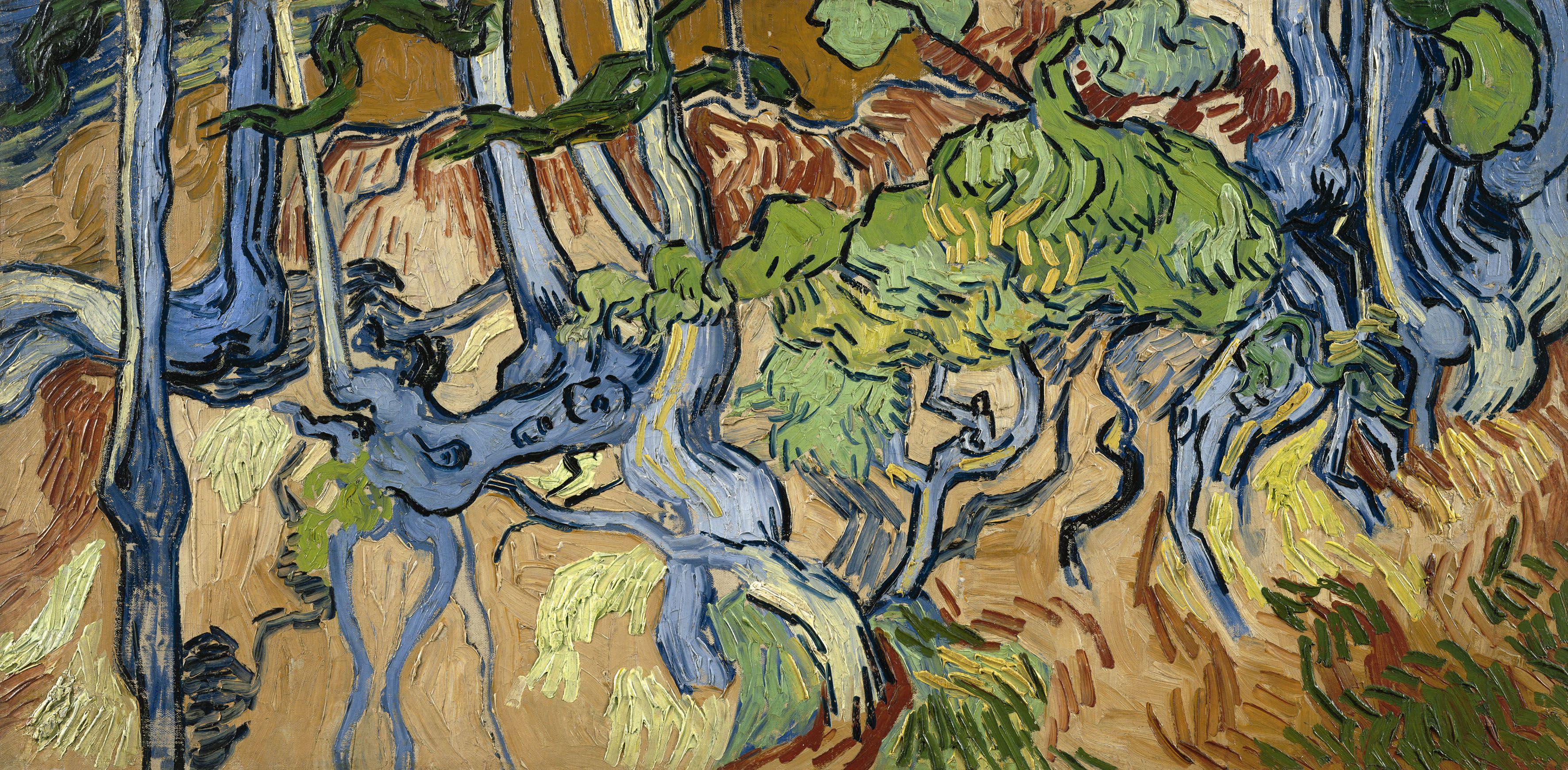 Getting to the Root of Things