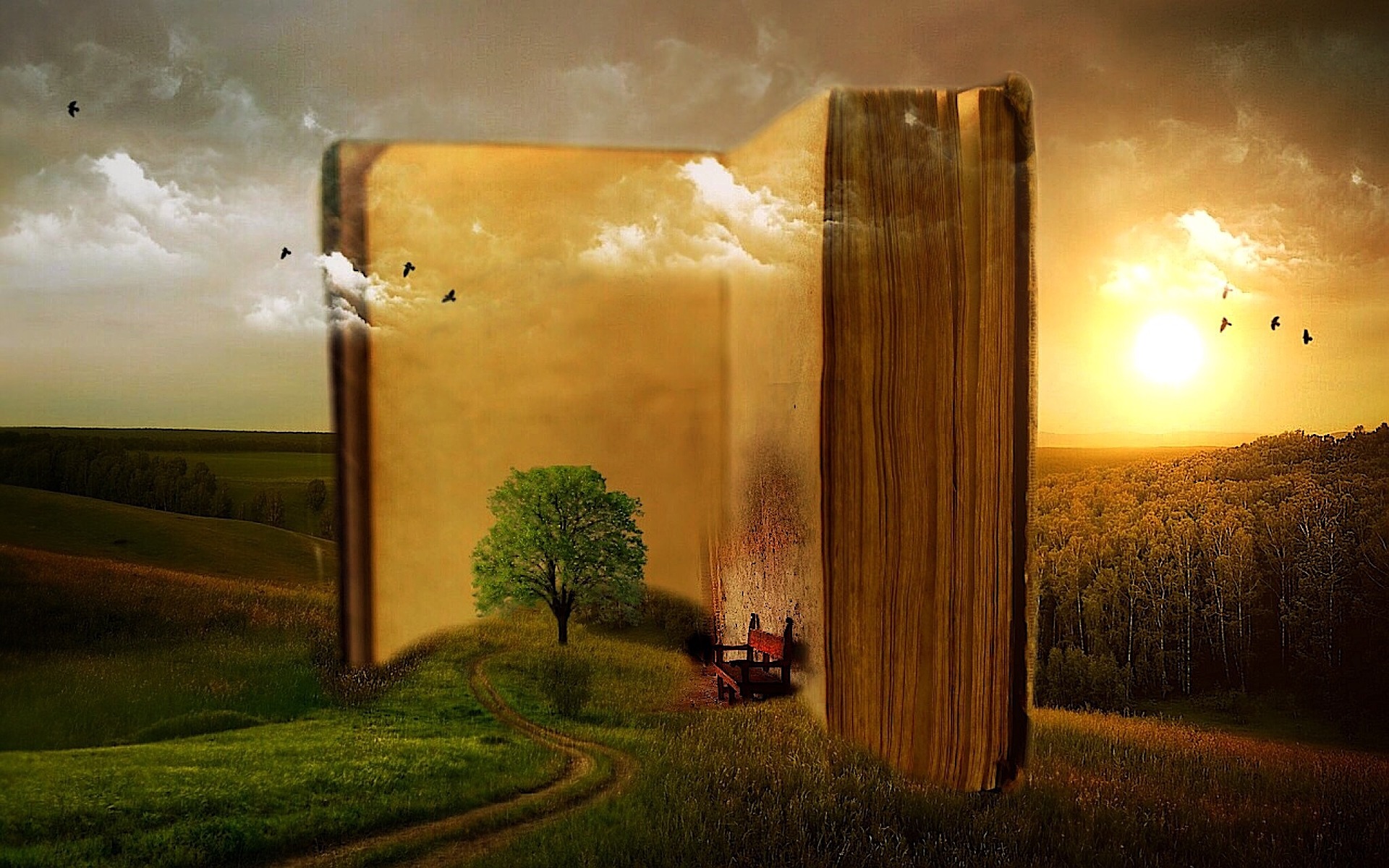 Fahrenheit 451 and a Famine of Words