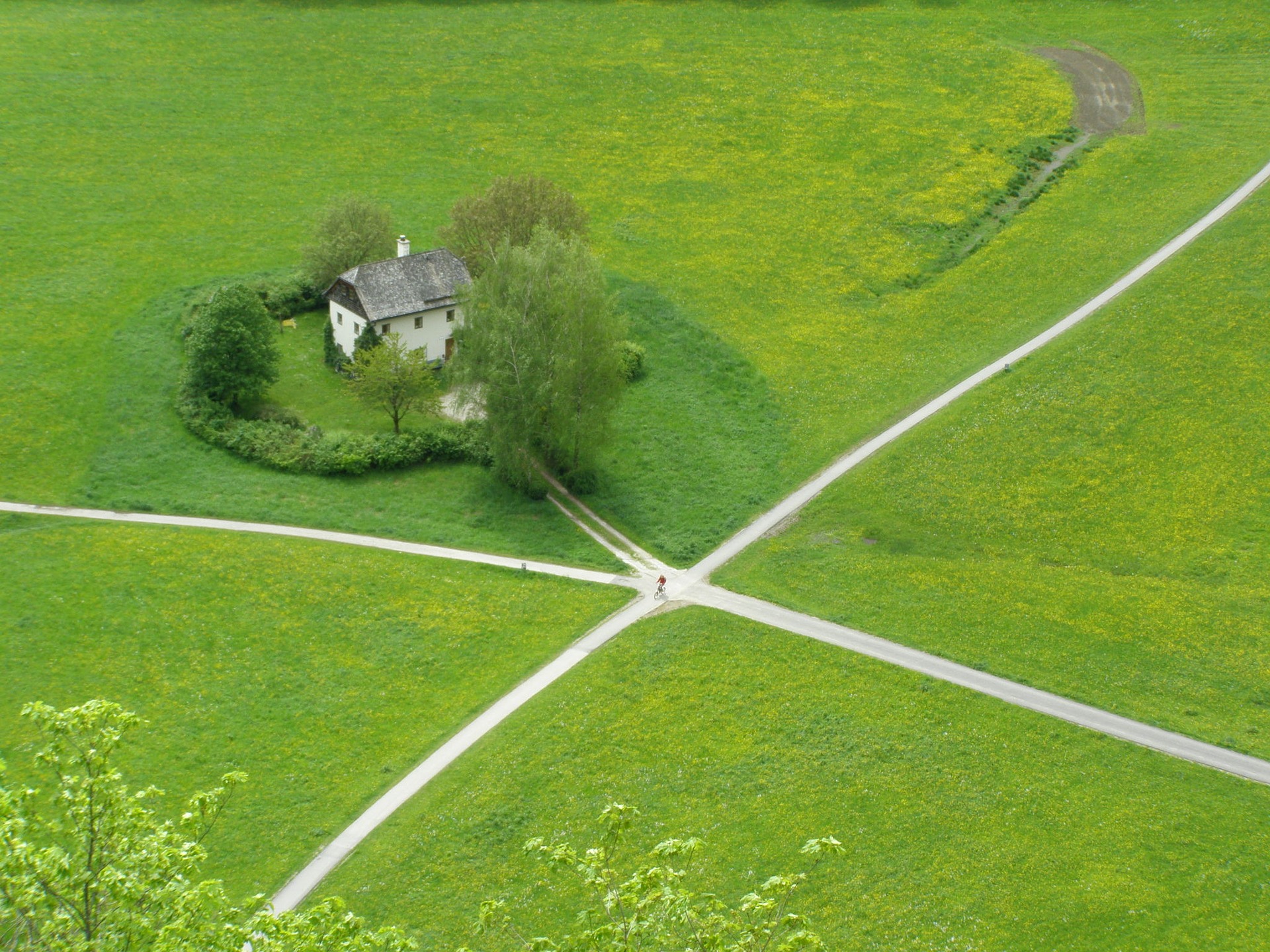 Ancient Paths