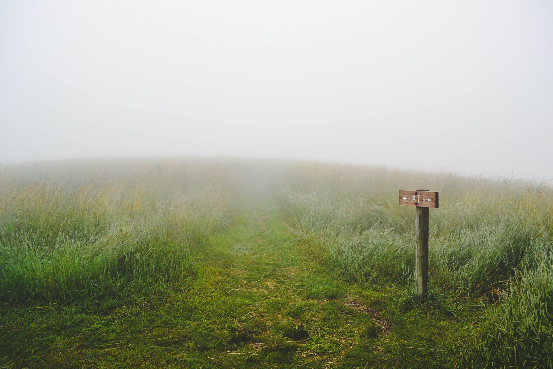 Should I Stay or Should I Go?