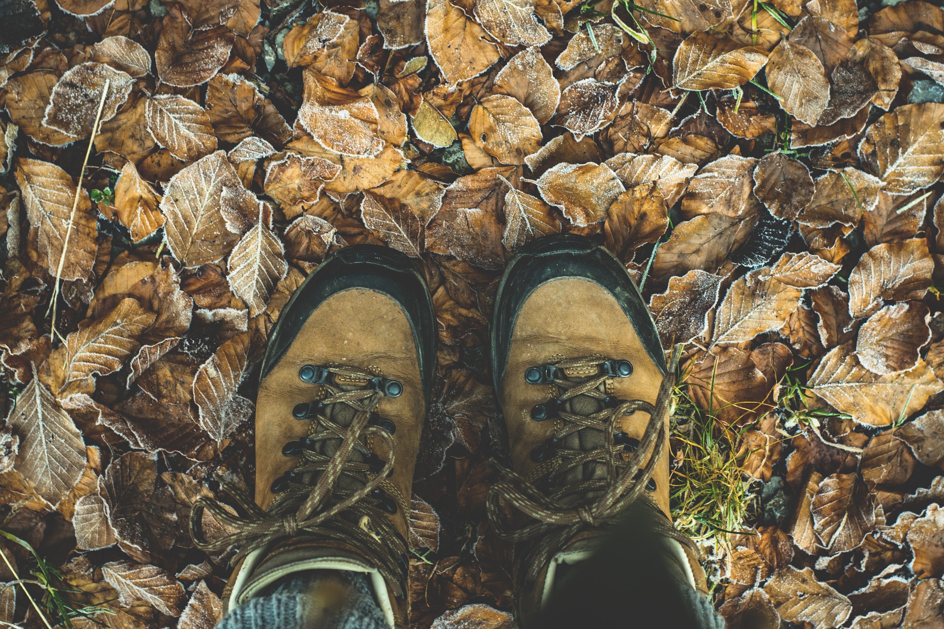Once in a While, I’ve Gotta Stop Looking at my Feet