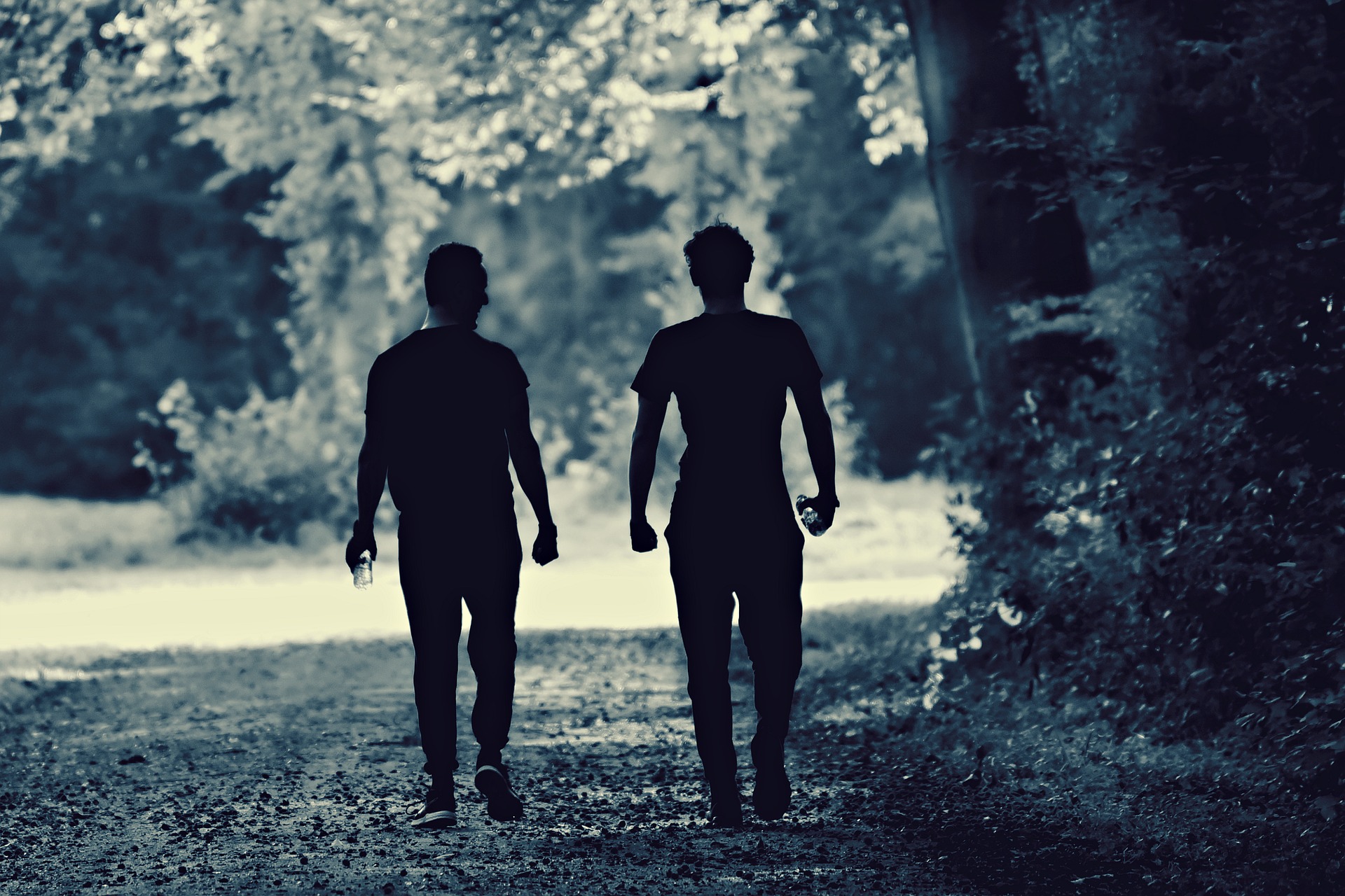 Seasonal Companions