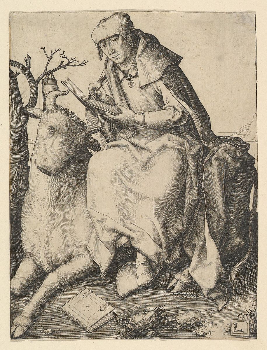 Luke (Dec 2019)