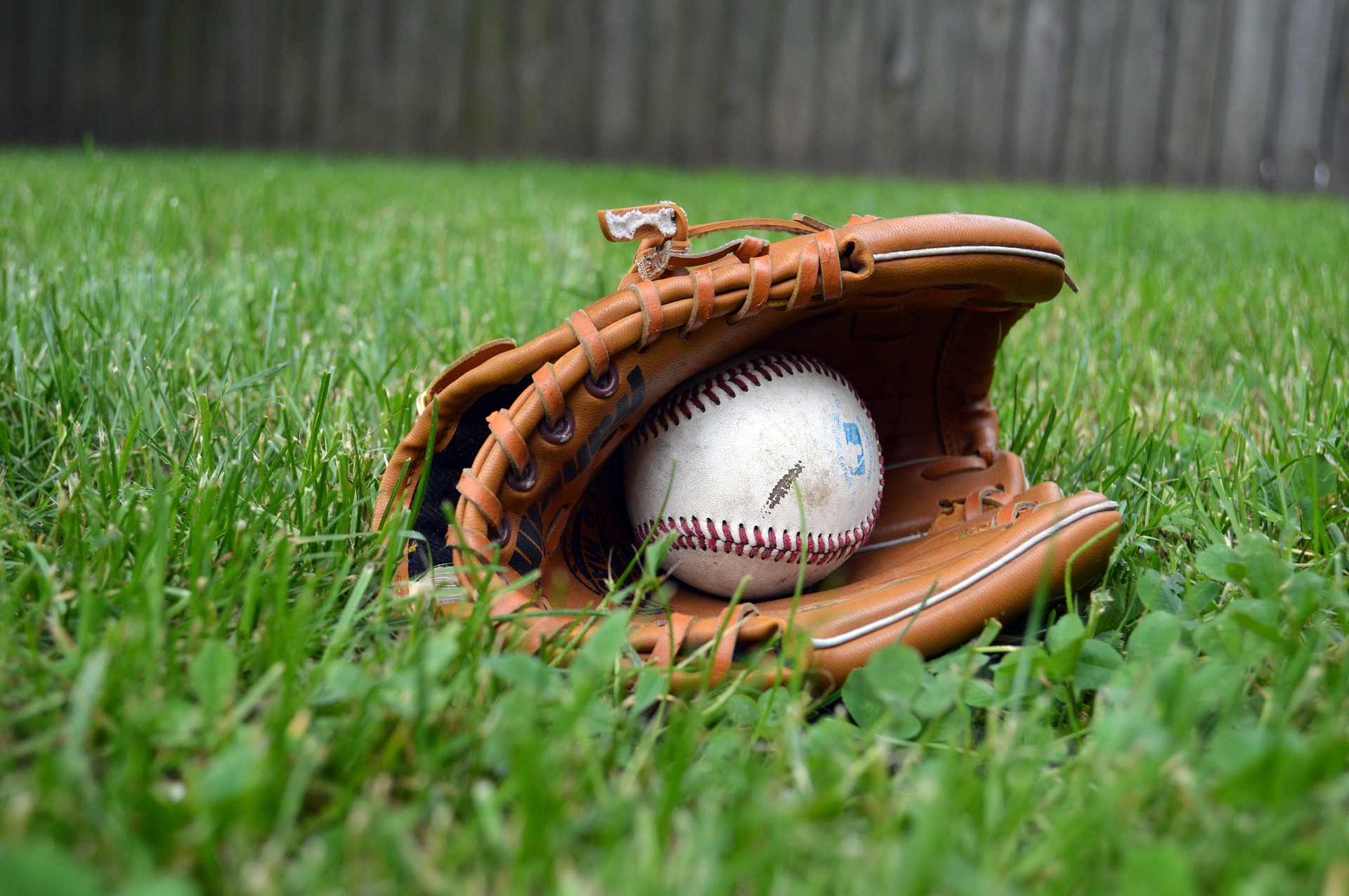 Play Ball