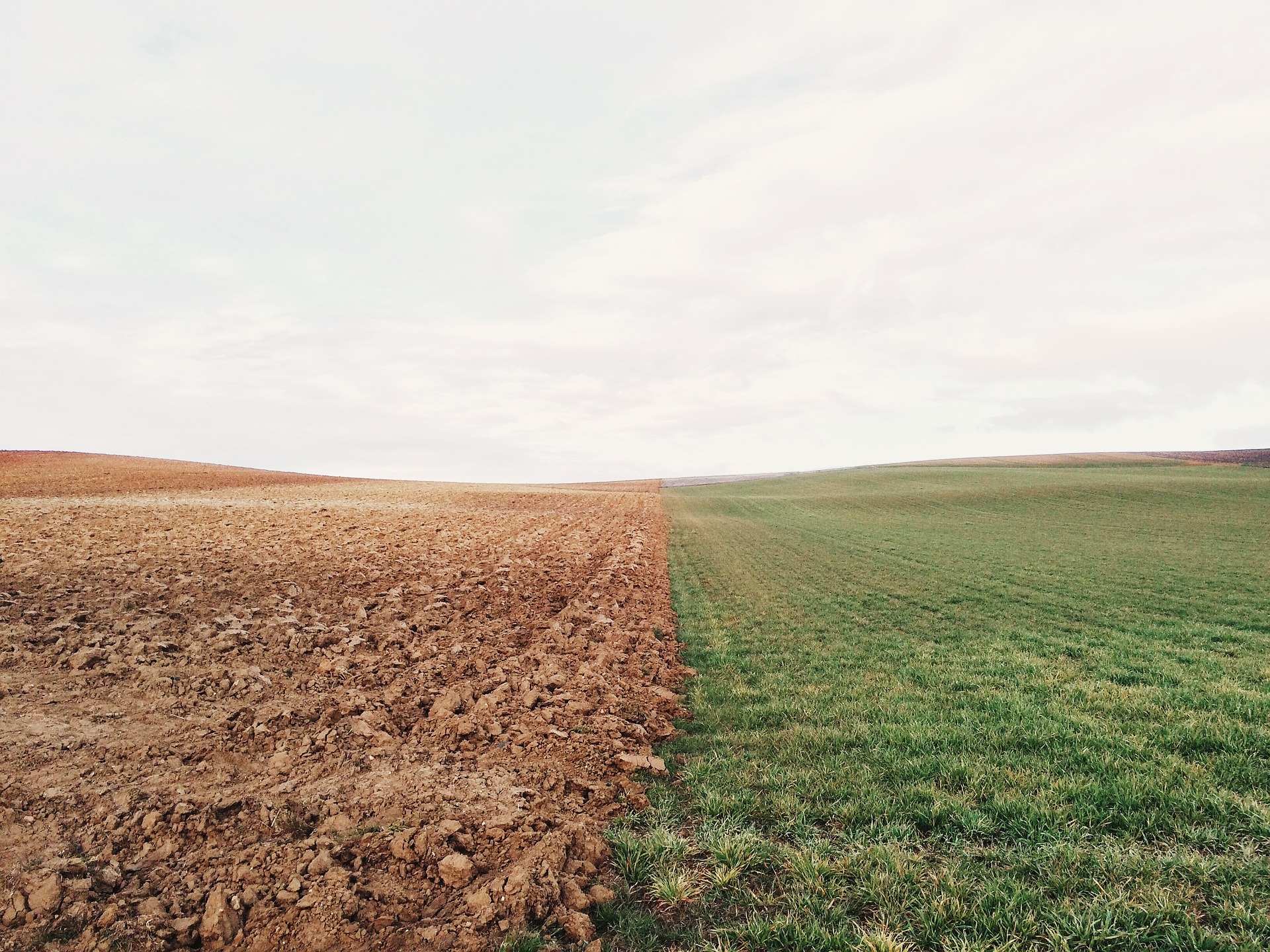 Seeds, Soil, and Fruit