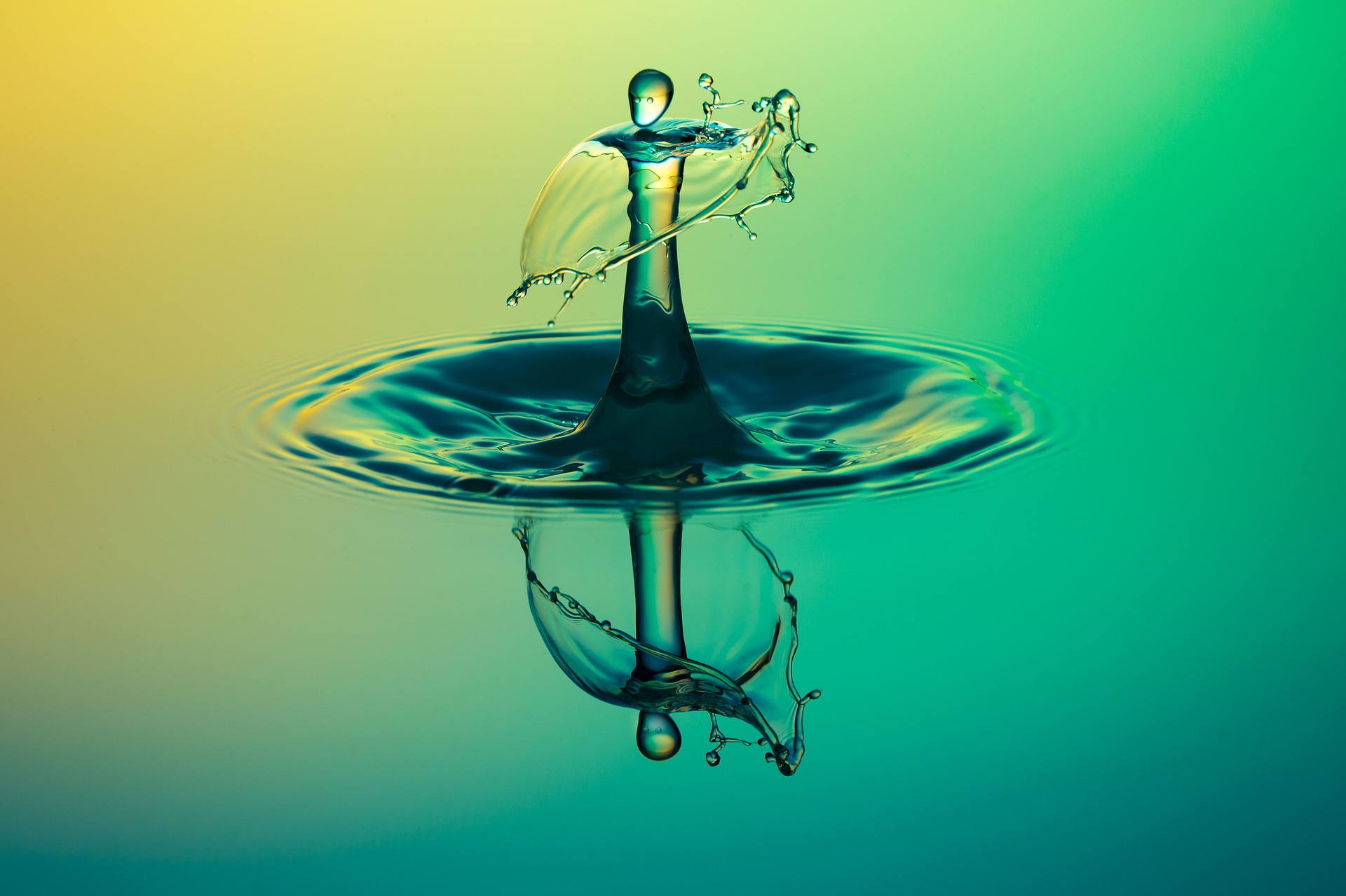 “Out of the Water”