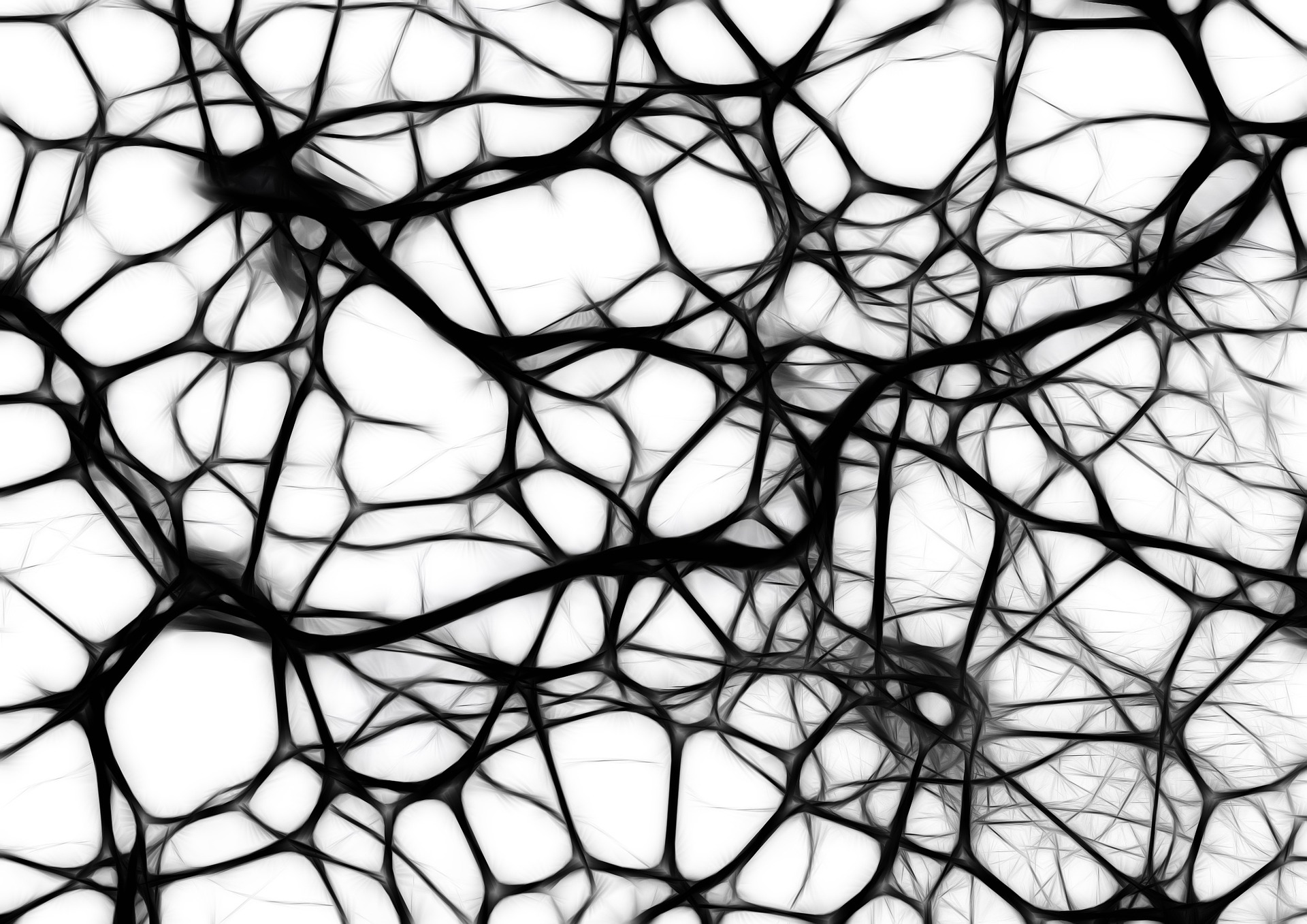 Captive Brain
