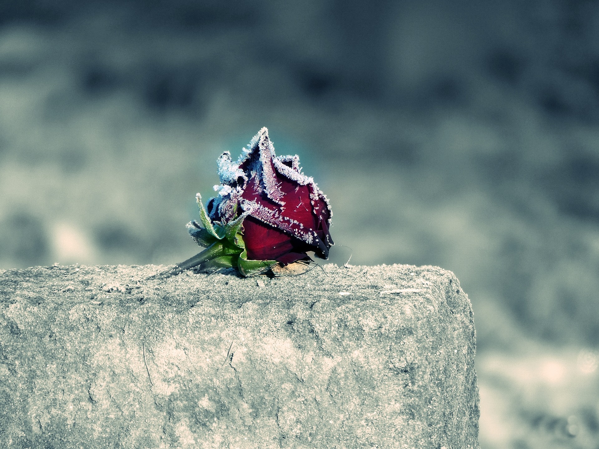 The Day the Music Died