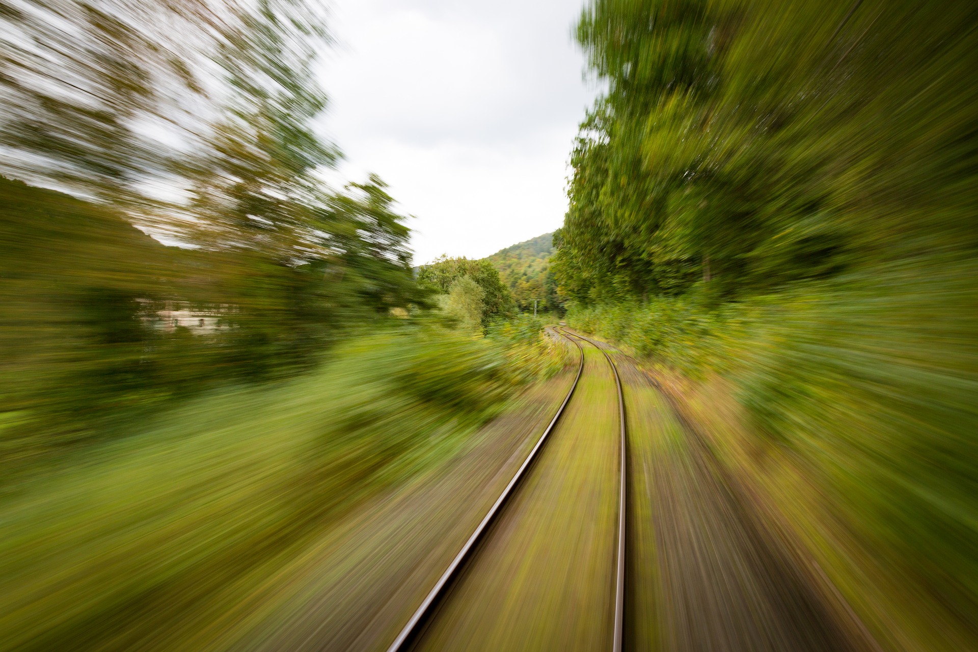 Life on the Fast-Track