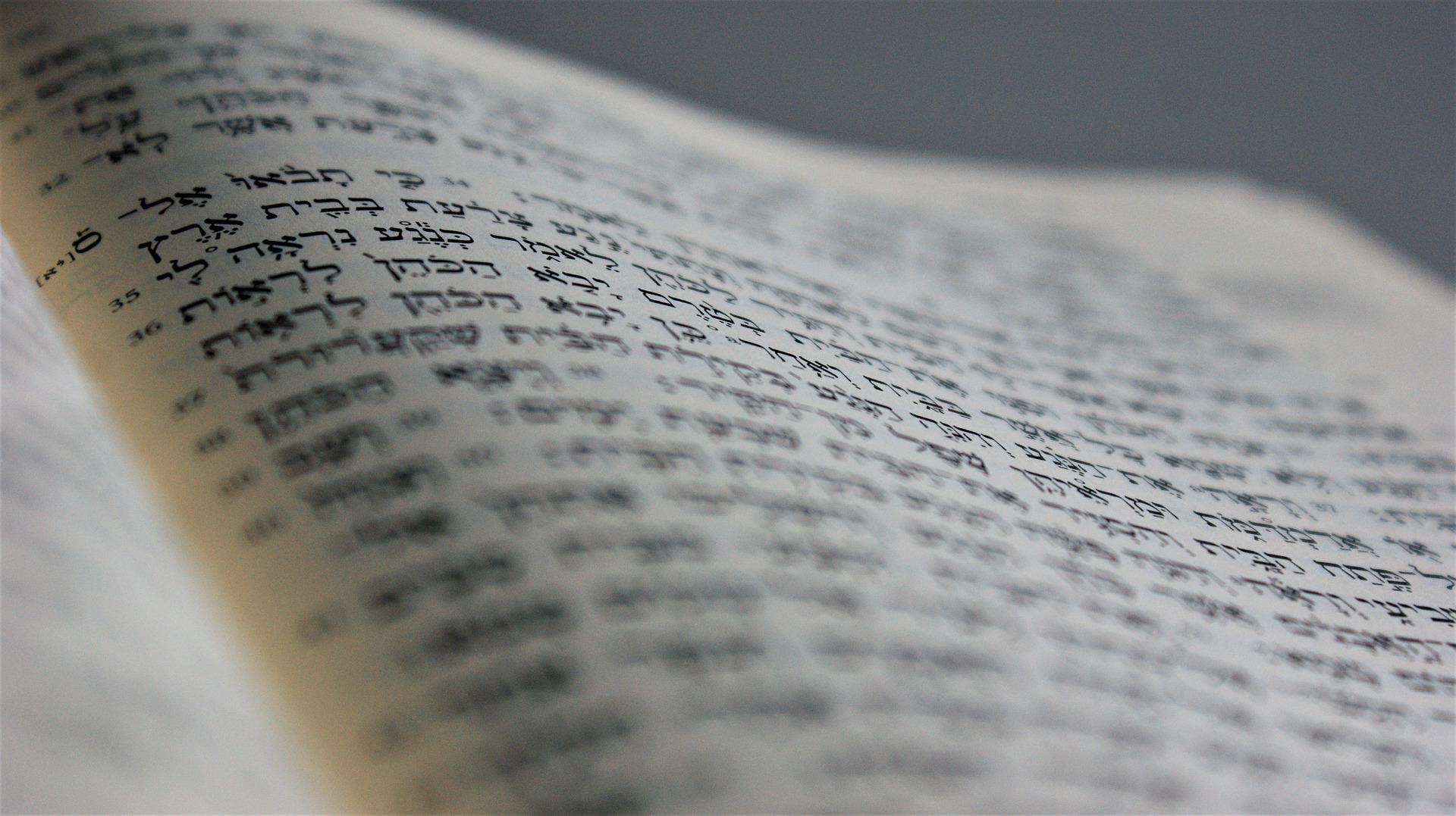 Beneath the Text