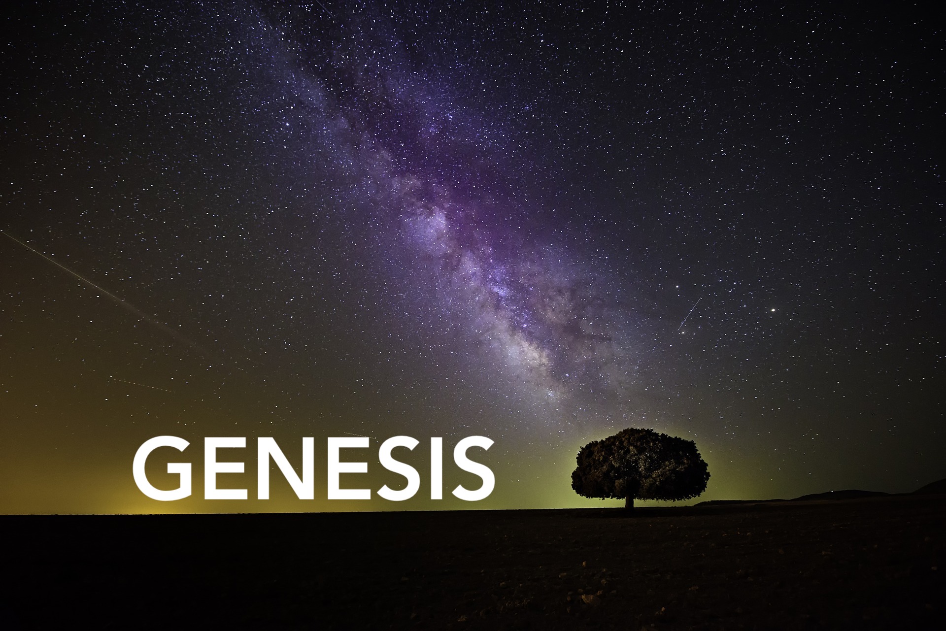 Genesis (Sep-Dec 2021)