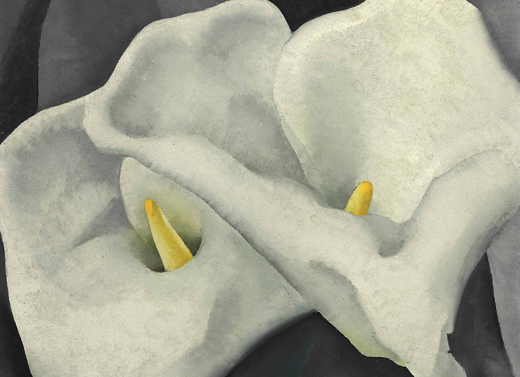 #12: Browsing Among the Lilies