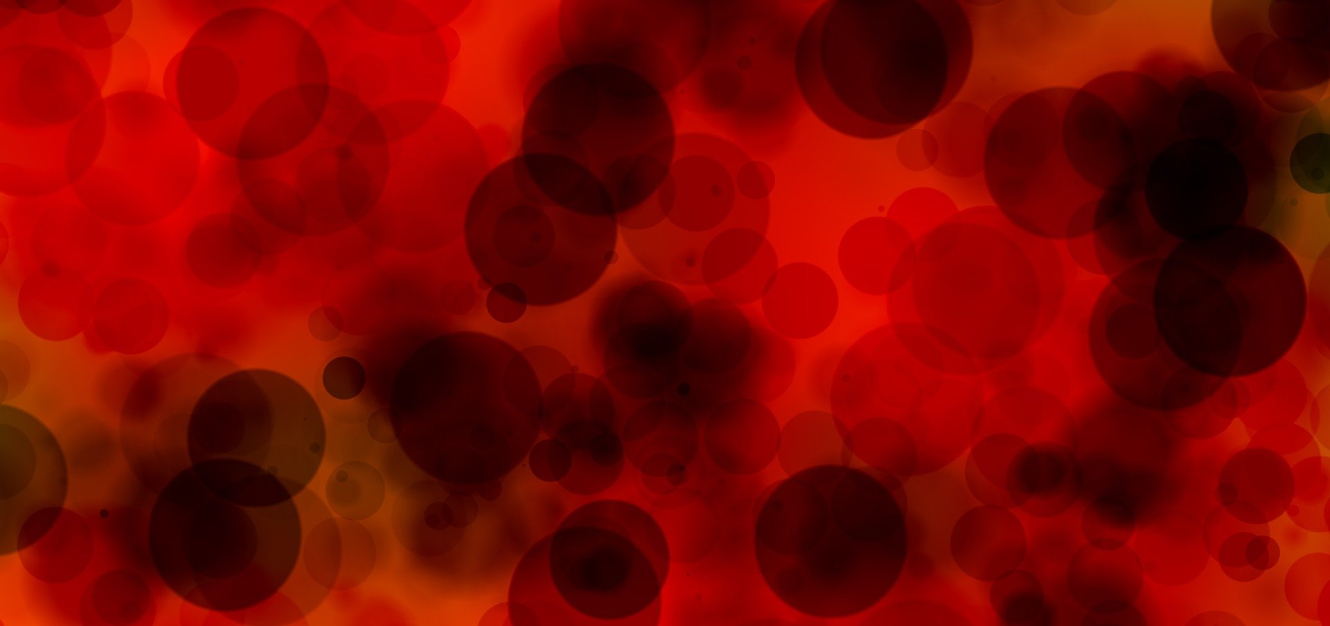 Bad Blood