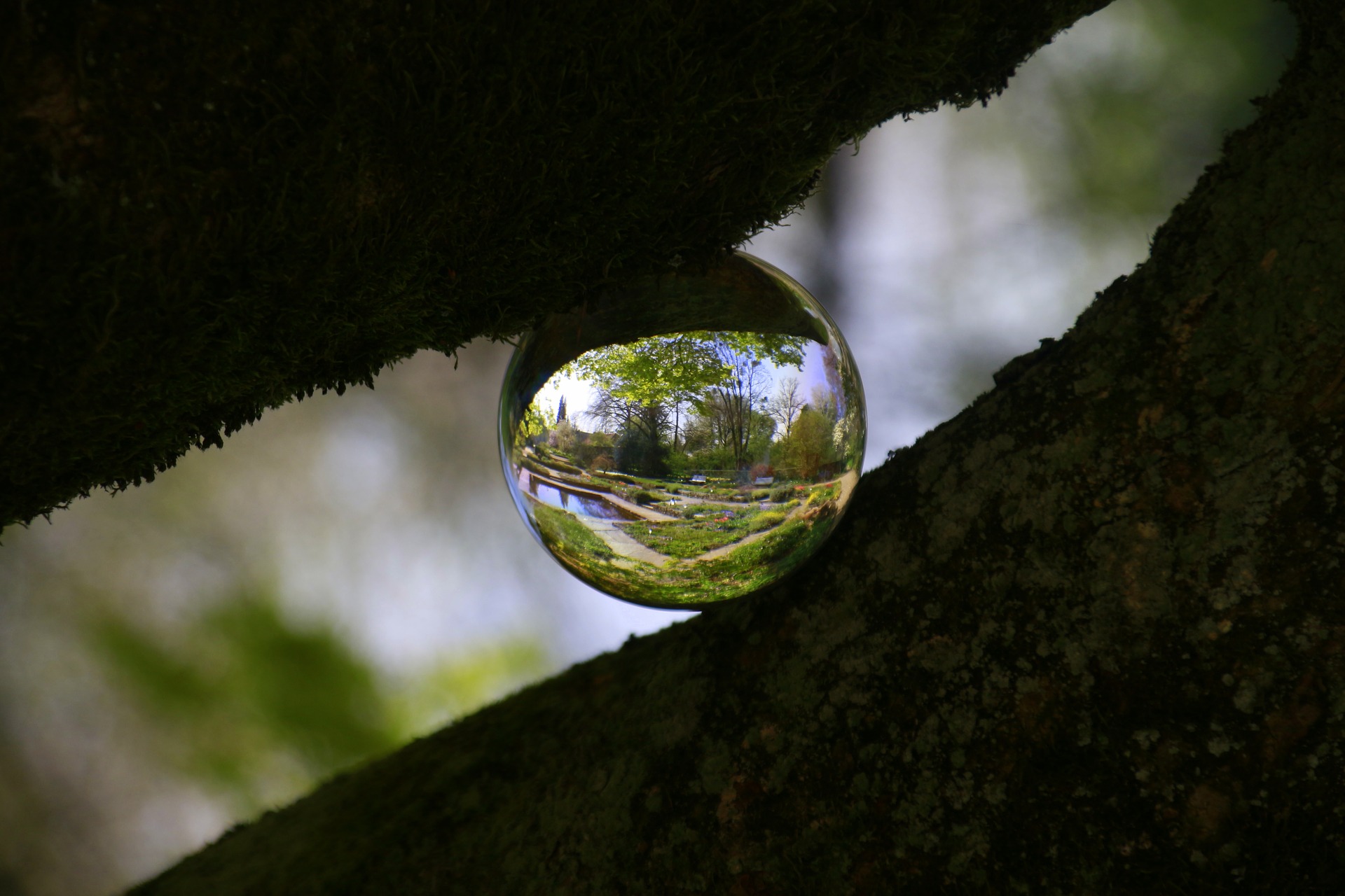 New Layers of Perception