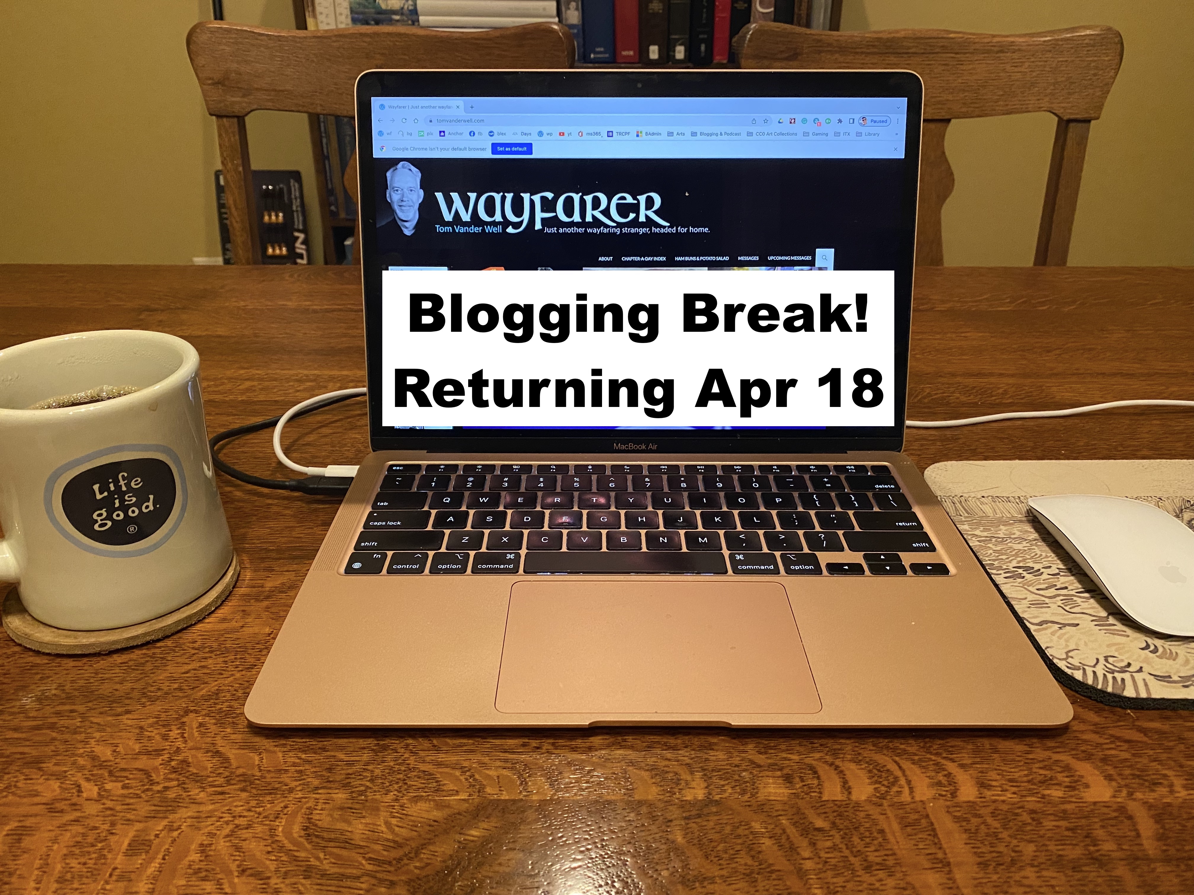 Blogging Break!