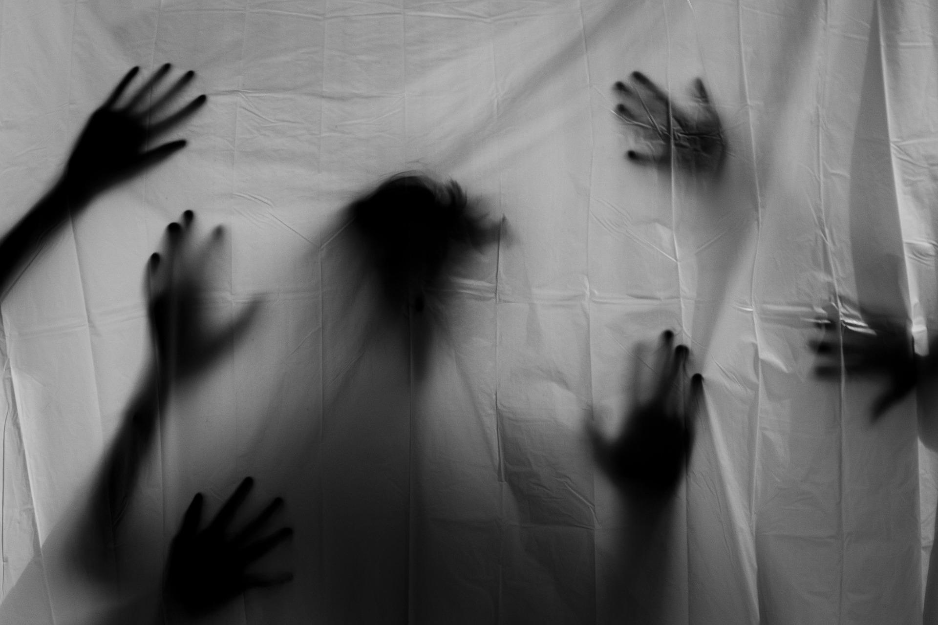 The Fear Factor