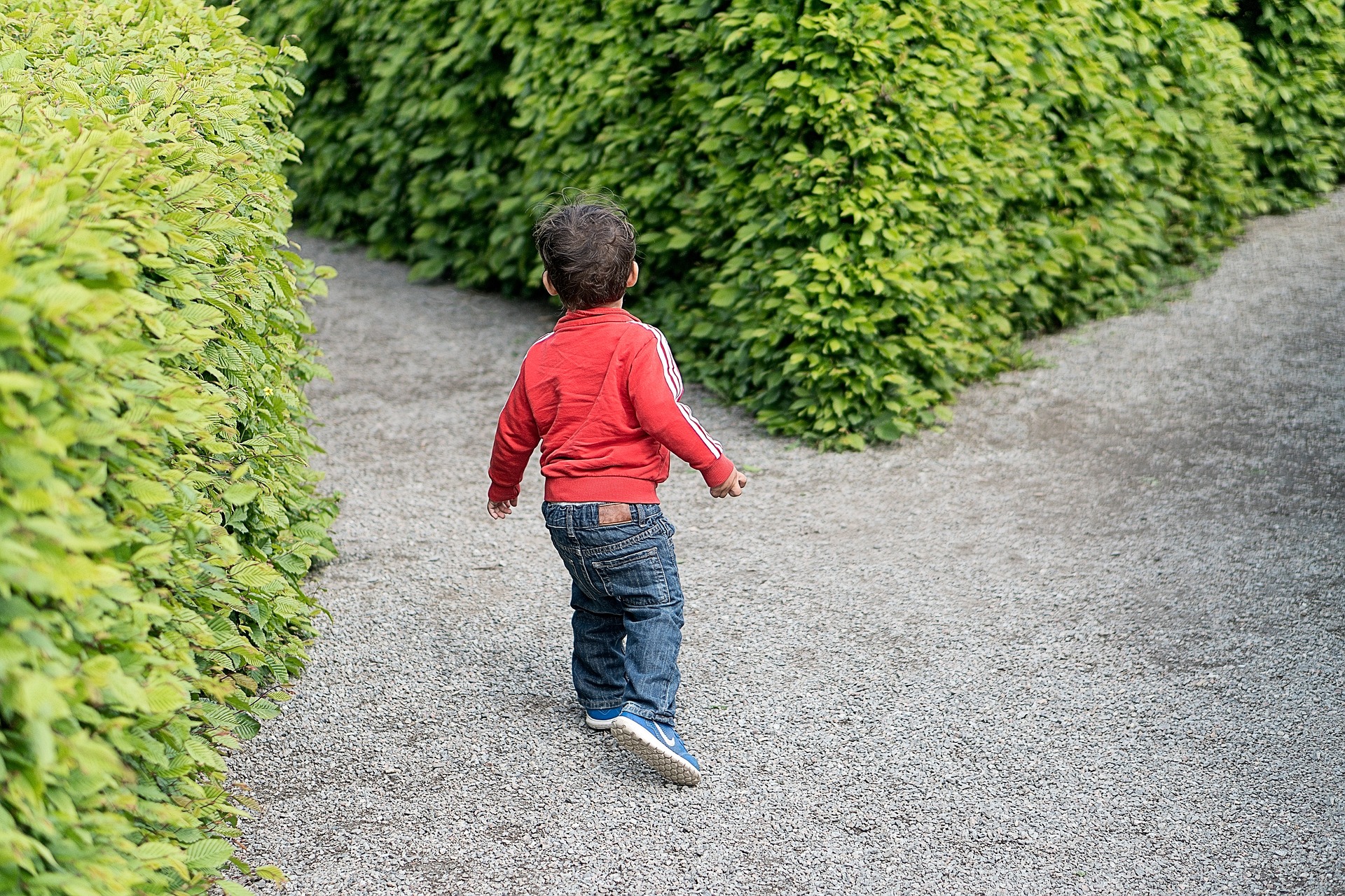 Two Paths