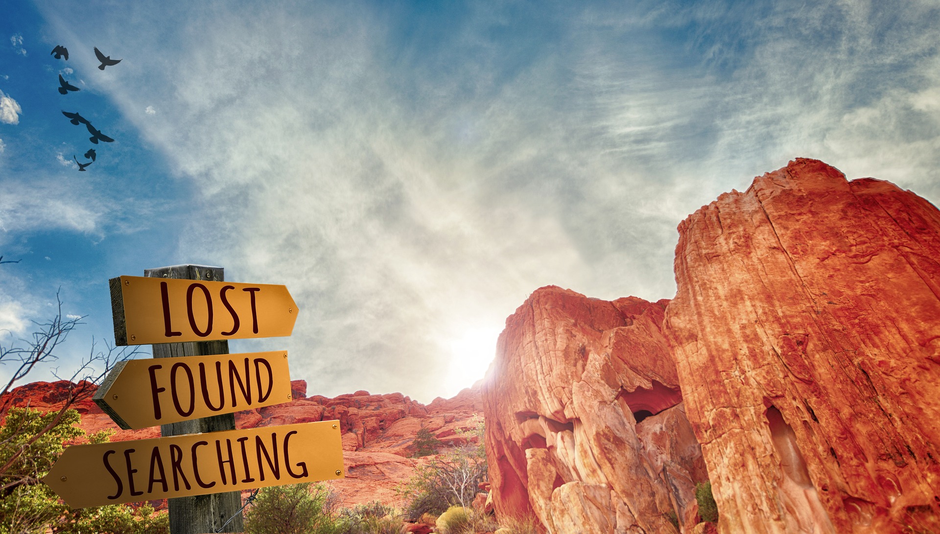 Lost and Found