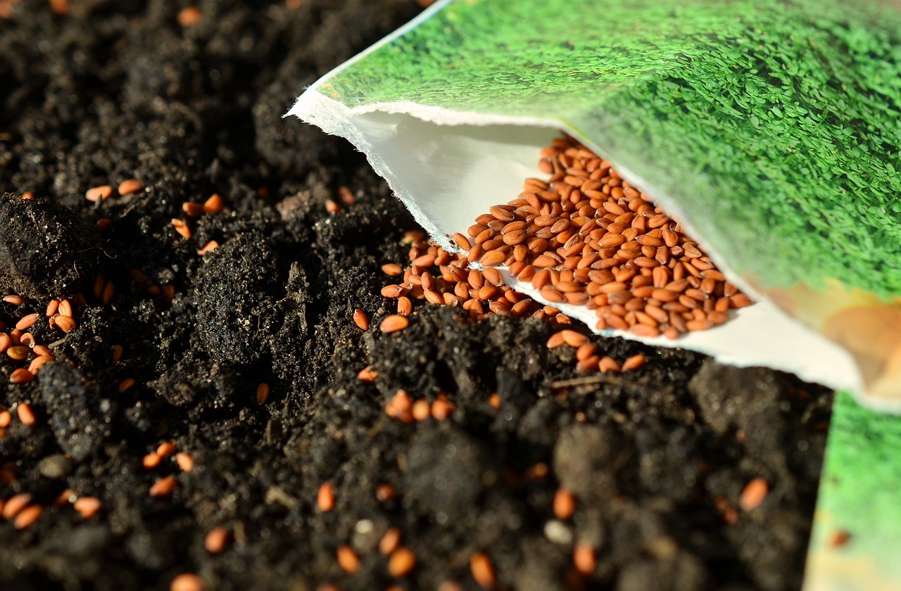 Seed and Heart-Soil