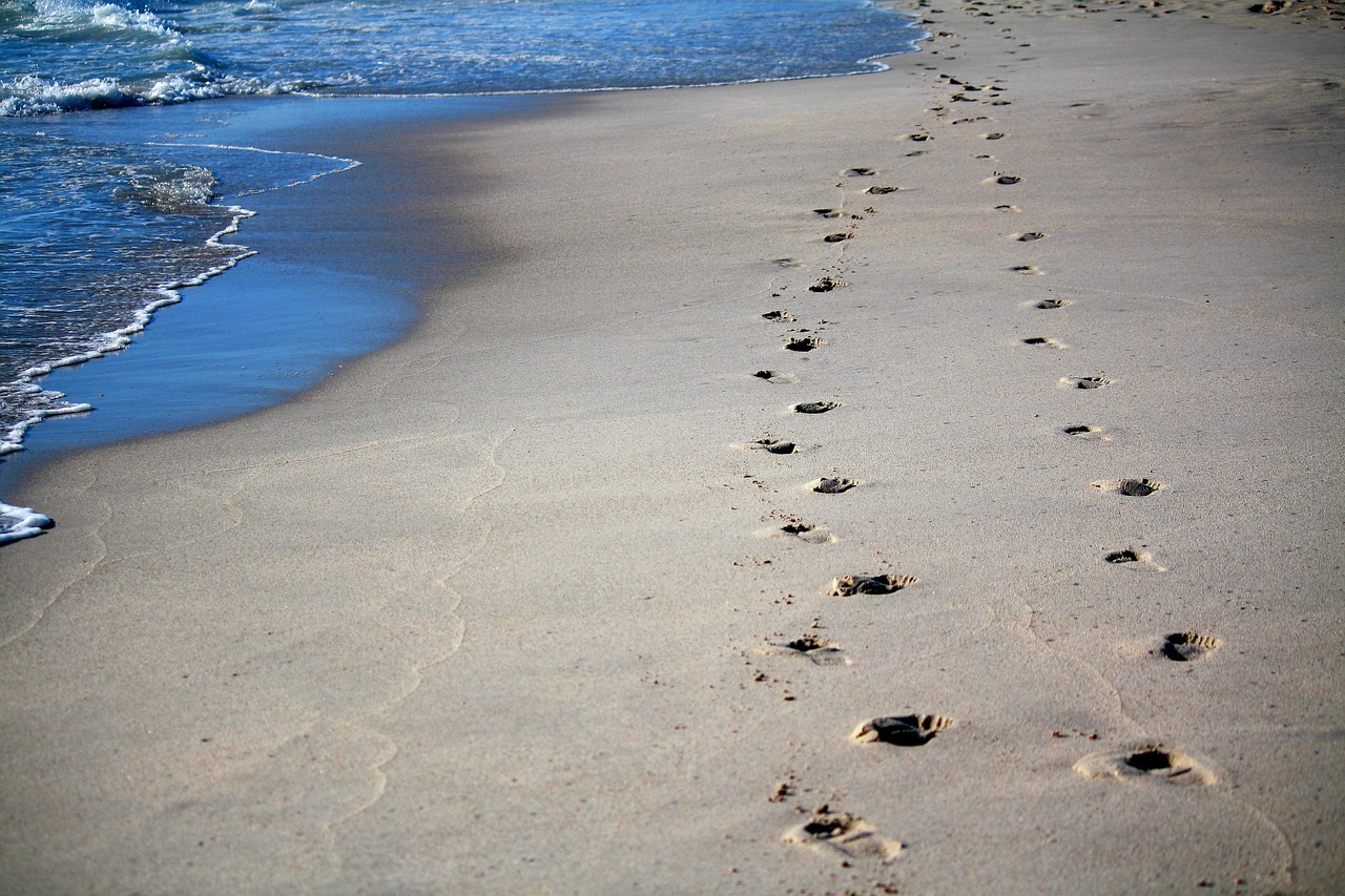 Paths and Footsteps