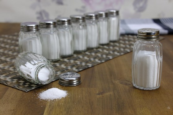 An Eternal Covenant of Salt