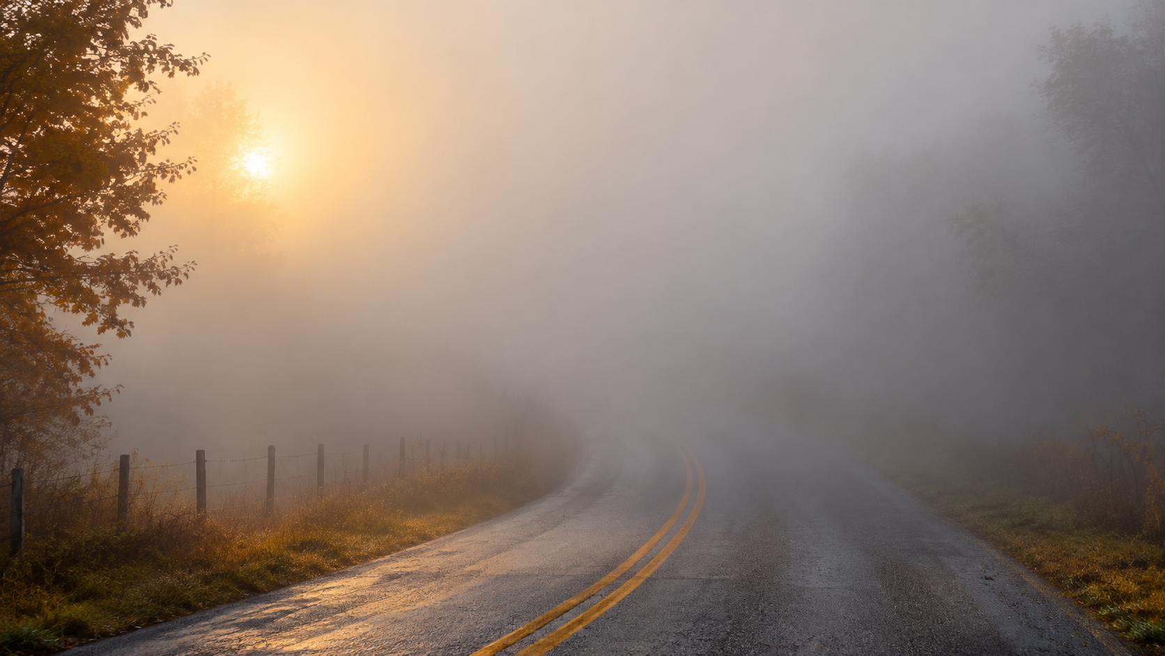 In the Fog